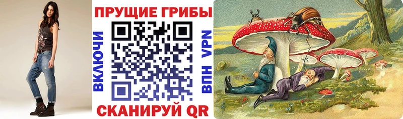Псилоцибиновые грибы Magic Shrooms  Купить  Красавино 
